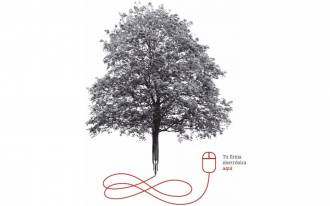 [foto de la noticia]