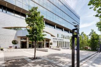 [foto de la noticia]