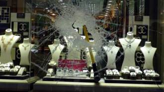 [foto de la noticia]