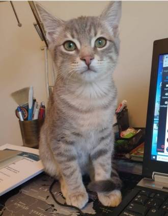 [foto de la noticia]