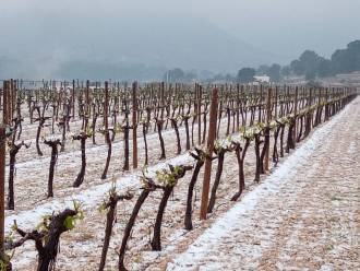 [foto de la noticia]