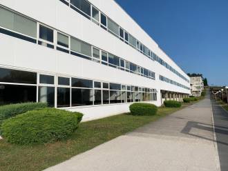 [foto de la noticia]