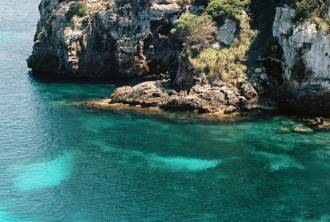 [foto de la noticia]