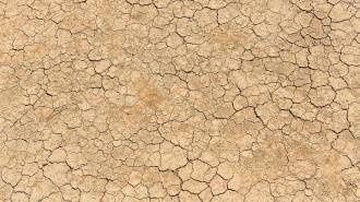 [foto de la noticia]