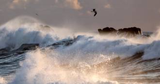 [foto de la noticia]