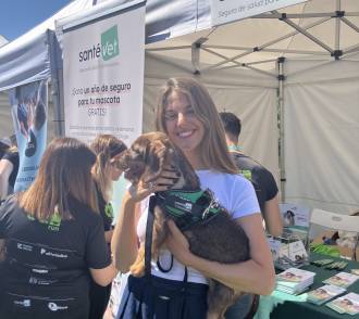 [foto de la noticia]