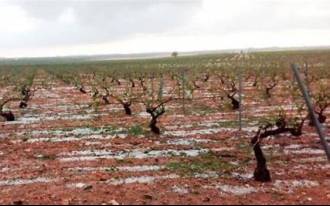 [foto de la noticia]