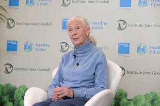 [foto de la noticia]