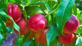 [foto de la noticia]