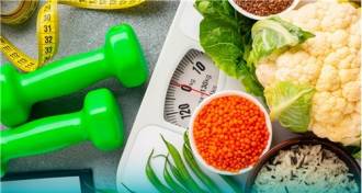 [foto de la noticia]