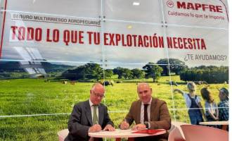 [foto de la noticia]