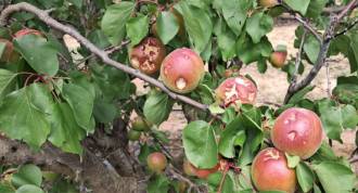 [foto de la noticia]