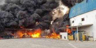 [foto de la noticia]