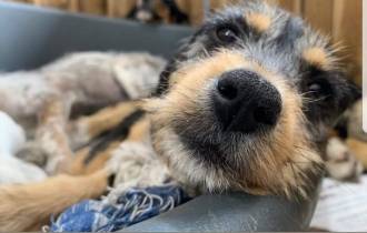 [foto de la noticia]