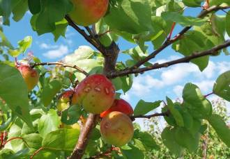 [foto de la noticia]