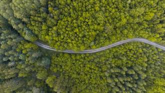 [foto de la noticia]