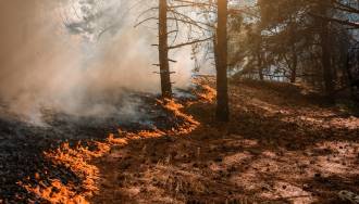 [foto de la noticia]